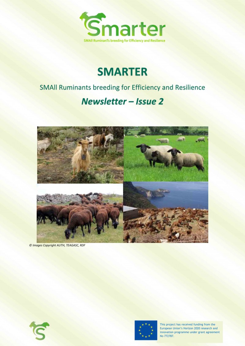 SMARTER – SMAll Ruminants Breeding For Efficiency And Resilience ...